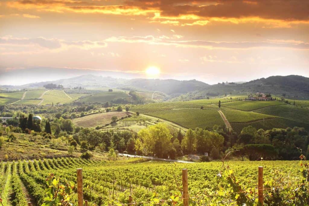 Is it Worth Coming to Tuscany this Summer?