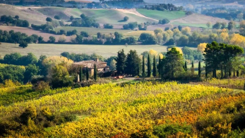 8 Reasons Why You Should Visit Tuscany During Autumn