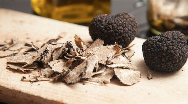 Truffle and the traditions that surround it…