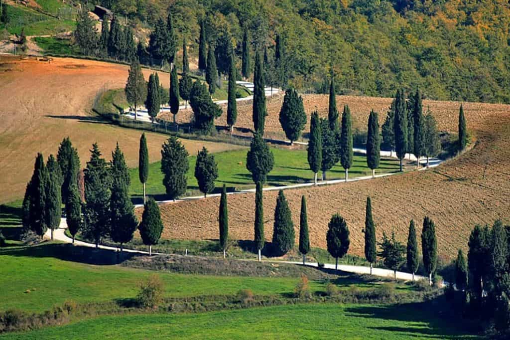 Stunning Scenic Drives Through Tuscany