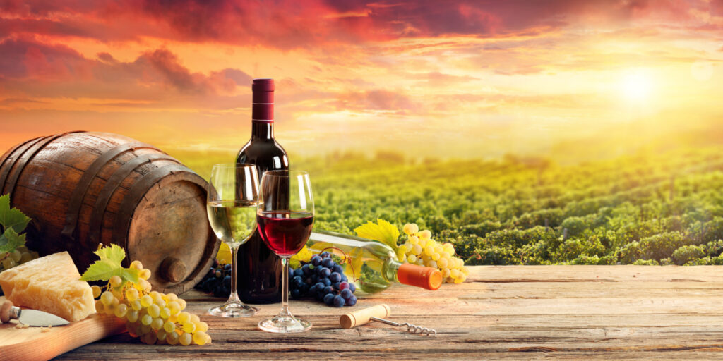 Sip and Savor on a Relaxing Tuscany Wine Tour