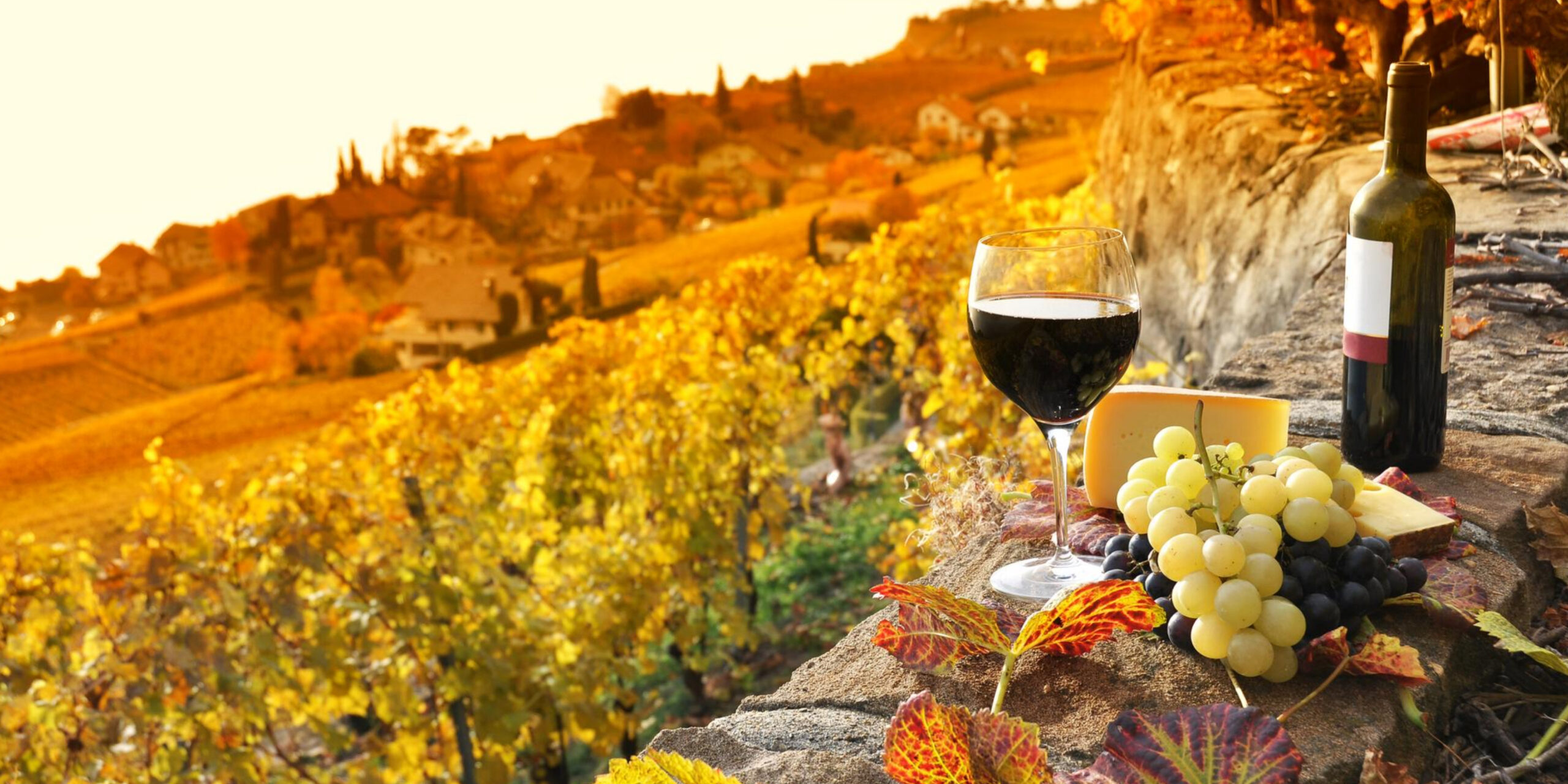 Expert-Led Tours Will Immerse You in Tuscany’s Culture