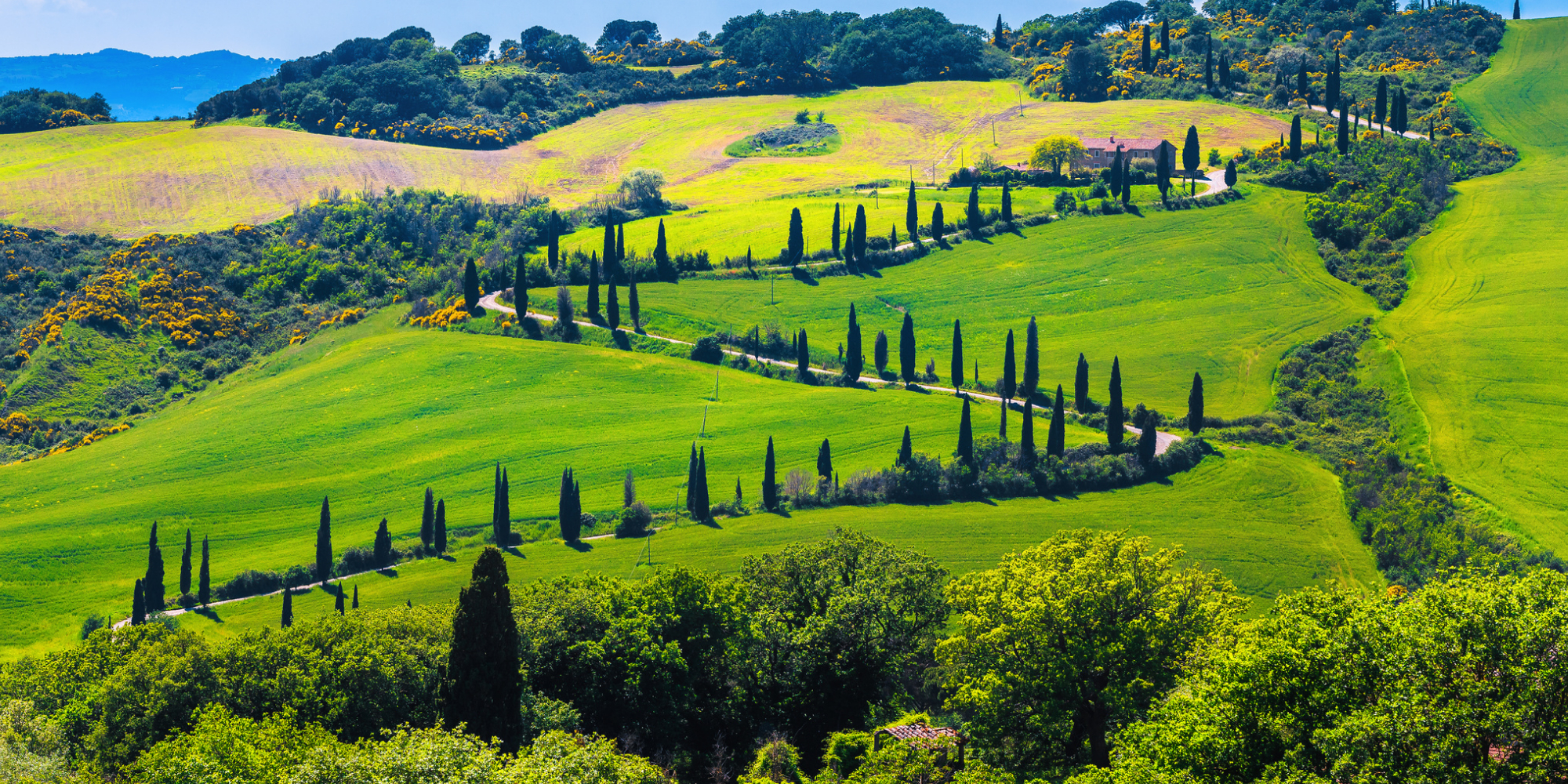 A Wine Lover’s Paradise: Unraveling the Charms of Chianti in Tuscany