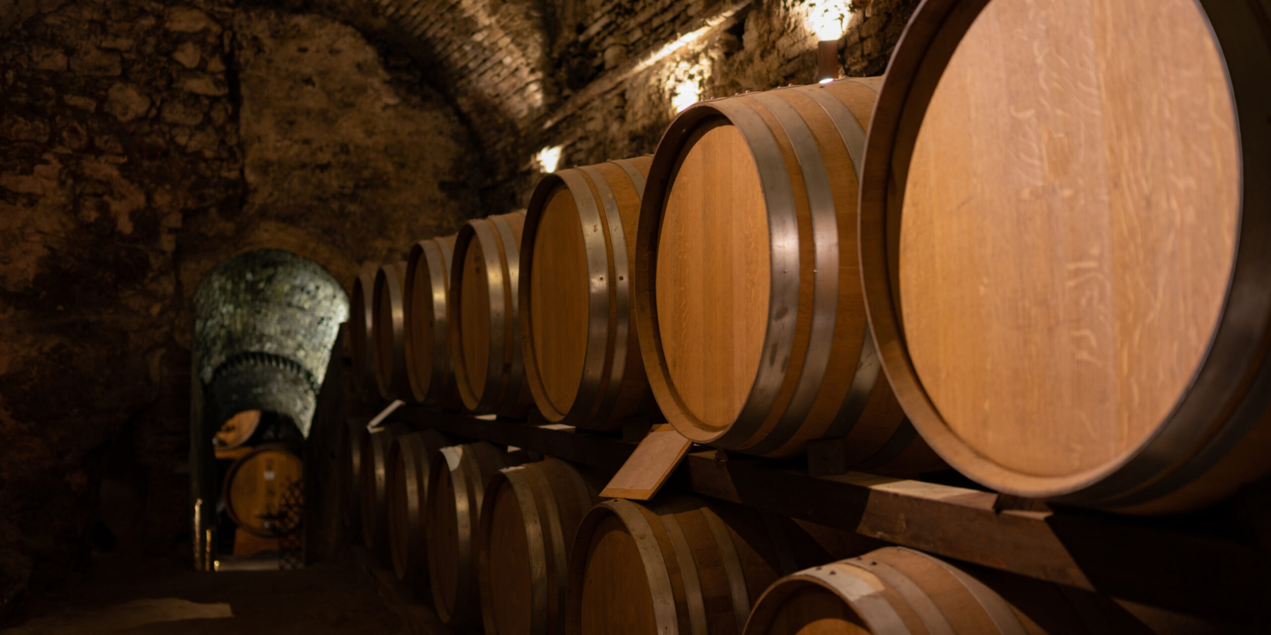 Become a Connoisseur: The Tuscany Wine Tour Experience